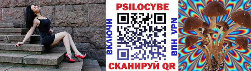Псилоцибиновые грибы GOLDEN TEACHER  Купить  Сафоново 